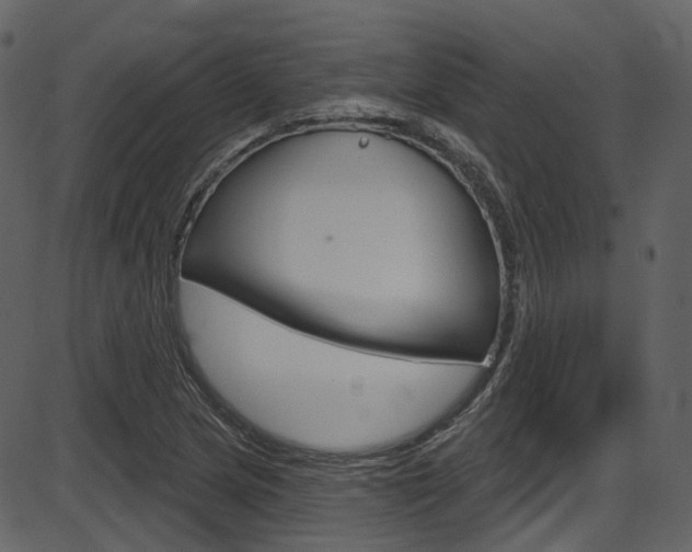 X0000086221217200703290955