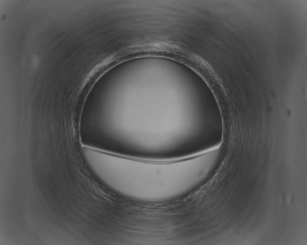 X0000086221218200703290955