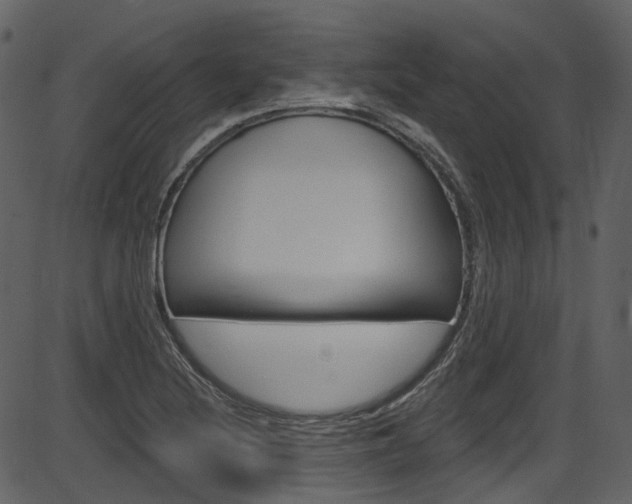X0000086221220200703290955