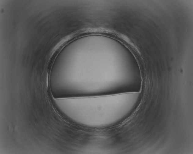X0000086221221200703290955