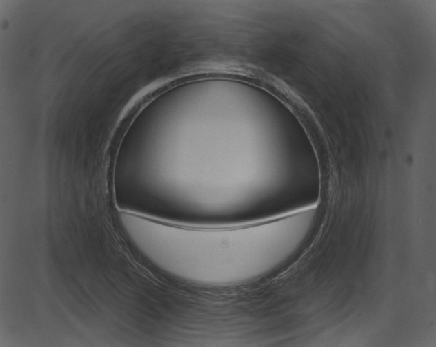 X0000086221222200703290955