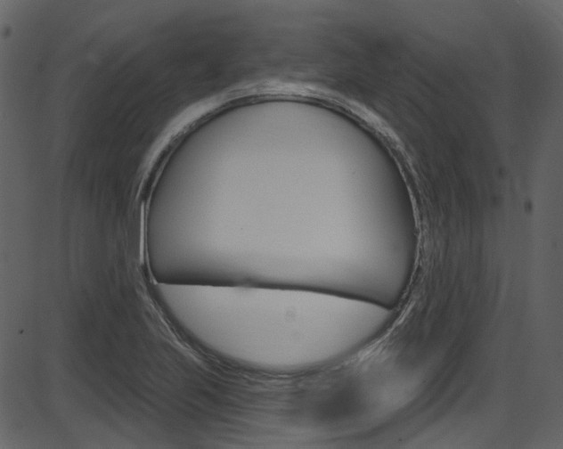X0000086221223200703290955