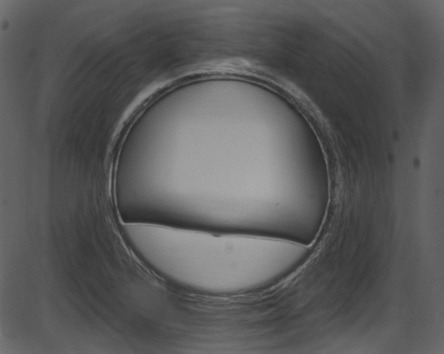 X0000086221224200703290955