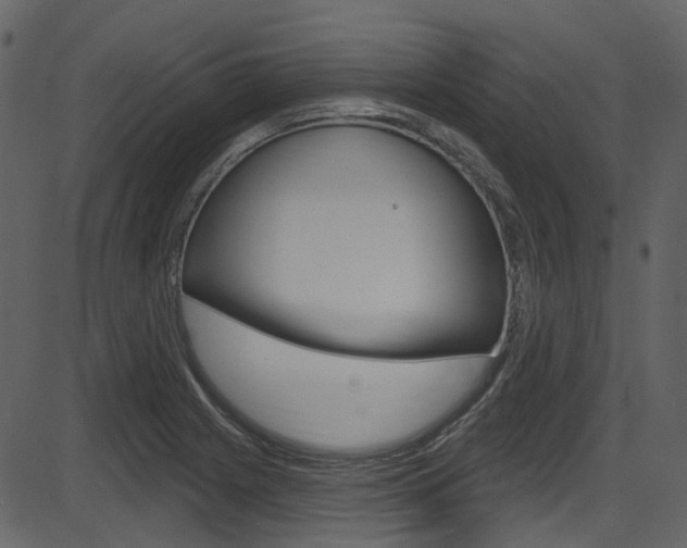 X0000086221225200703290955