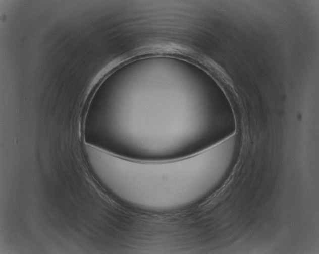 X0000086221226200703290955
