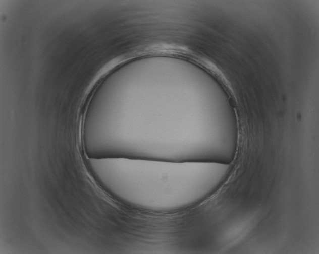 X0000086221227200703290955