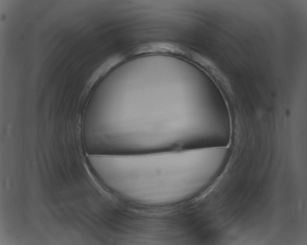 X0000086221233200703290955