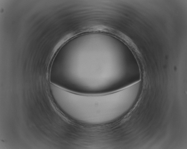 X0000086221234200703290955