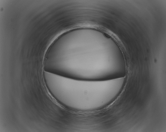 X0000086221236200703290955