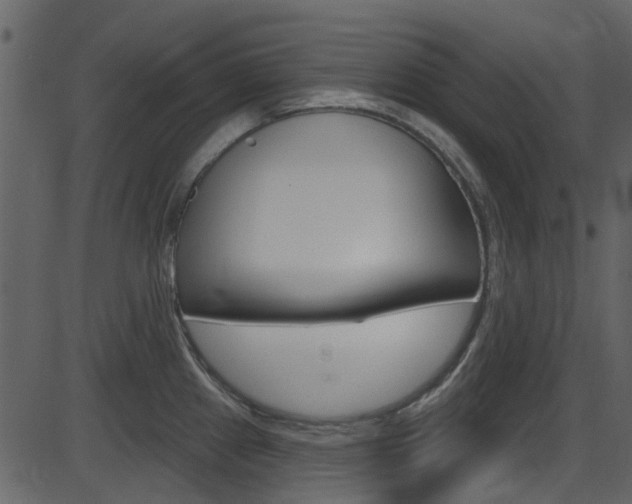 X0000086221241200703290955