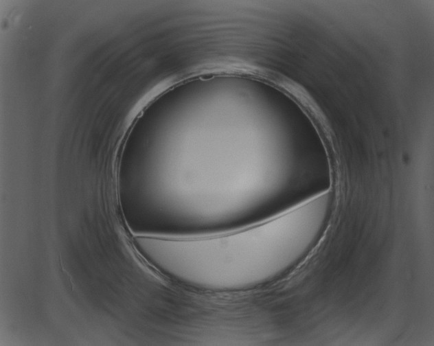 X0000086221242200703290955