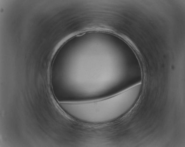 X0000086221246200703290955