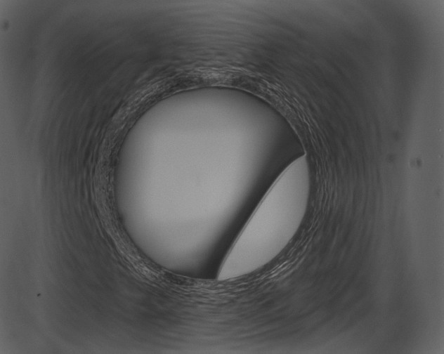 X0000086221249200703290955