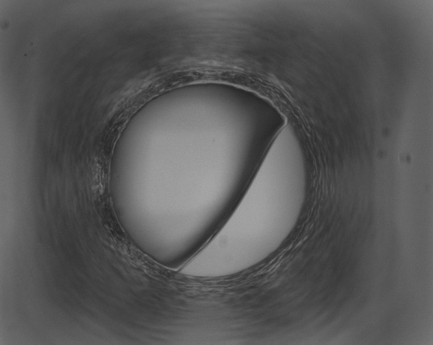 X0000086221253200703290955