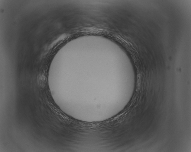 X0000086221254200703290955