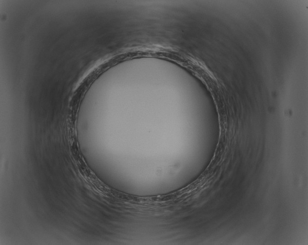 X0000086221256200703290955