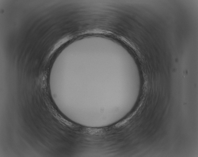 X0000086221258200703290955