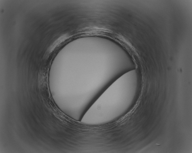 X0000086221259200703290955