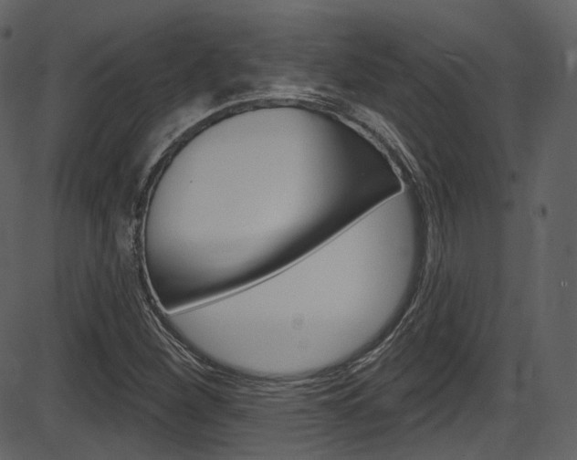 X0000086221260200703290955
