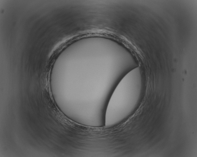 X0000086221262200703290954