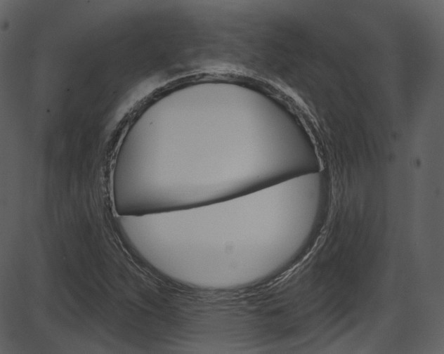 X0000086221263200703290954
