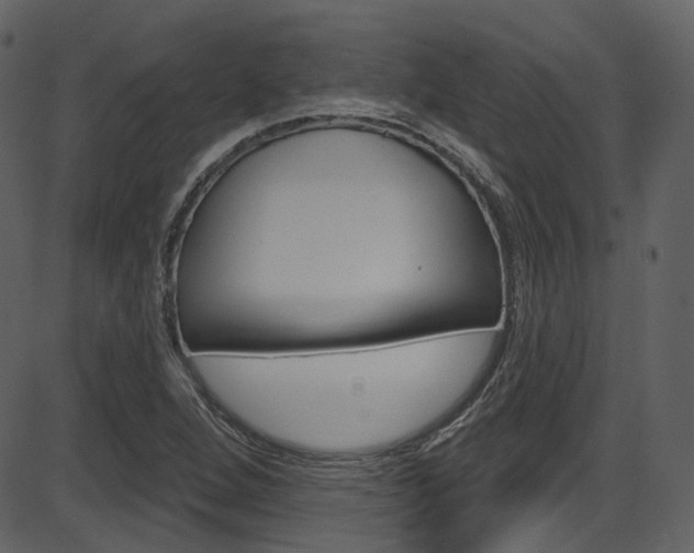 X0000086221264200703290954
