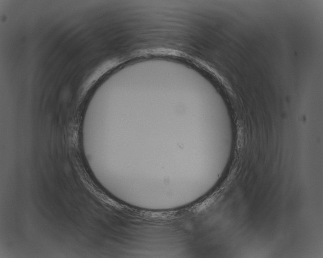 X0000086221266200703290954