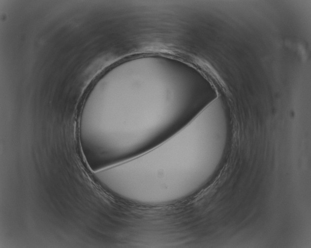 X0000086221268200703290954
