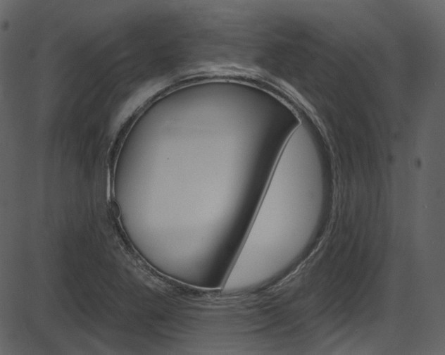 X0000086221269200703290954