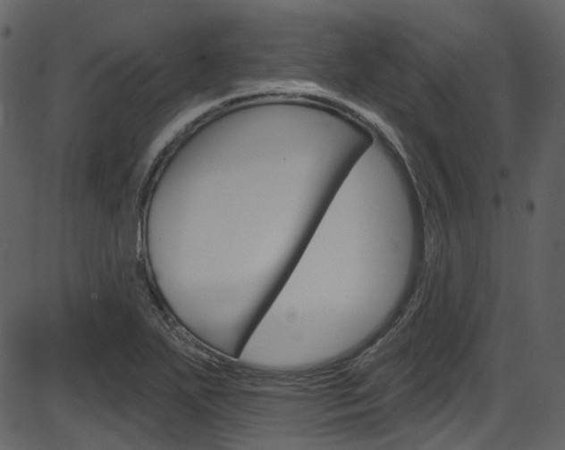 X0000086221271200703290954