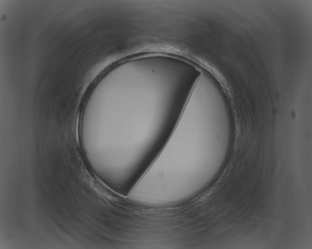 X0000086221272200703290954