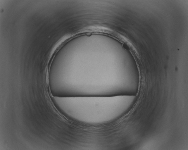 X0000086221275200703290954