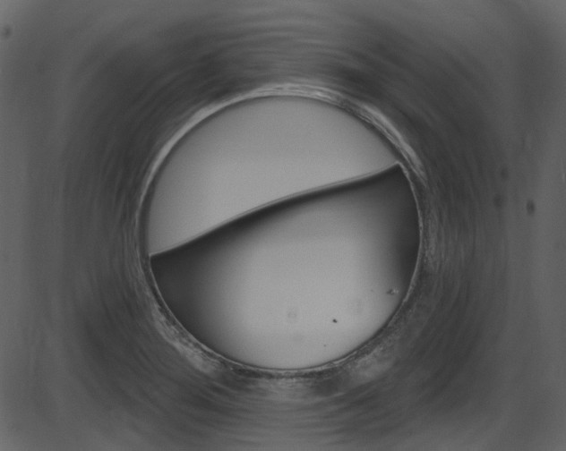 X0000086221276200703290954