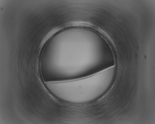 X0000086221277200703290954