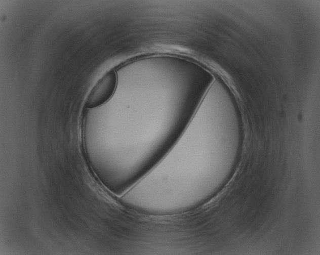 X0000086221280200703290954
