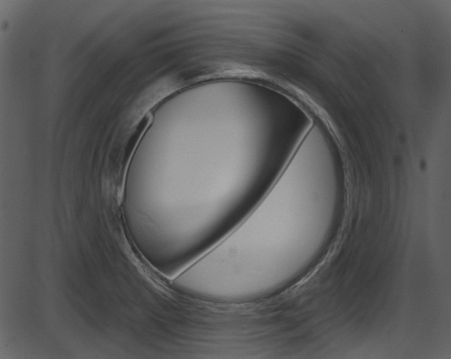 X0000086221281200703290954