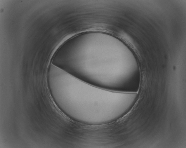 X0000086221284200703290954