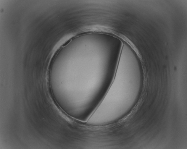 X0000086221285200703290954