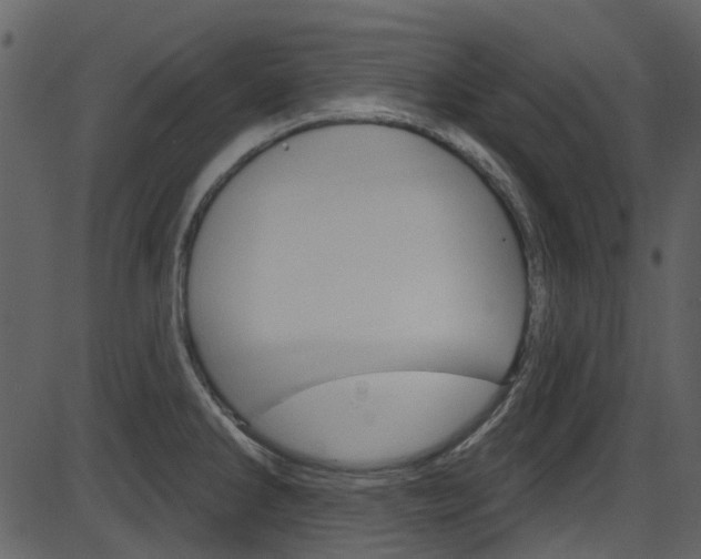 X0000086221286200703290954
