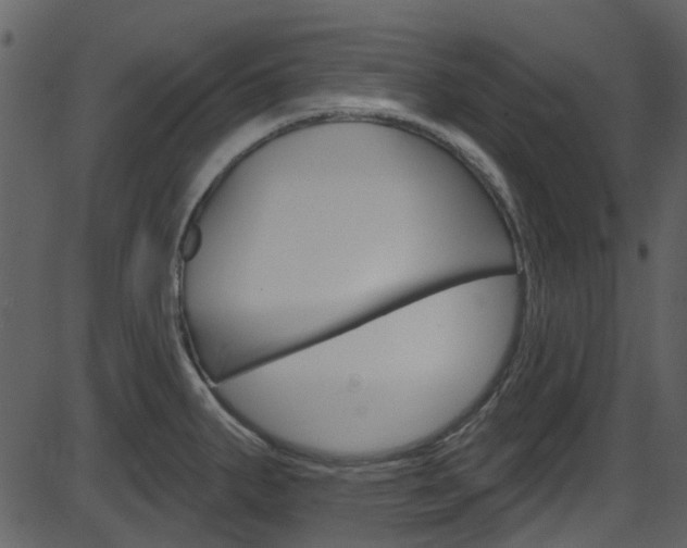 X0000086221287200703290954