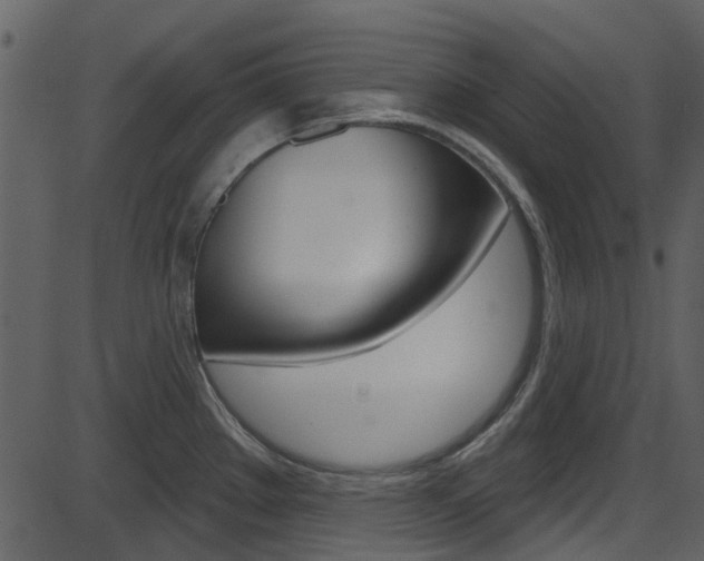X0000086221289200703290954