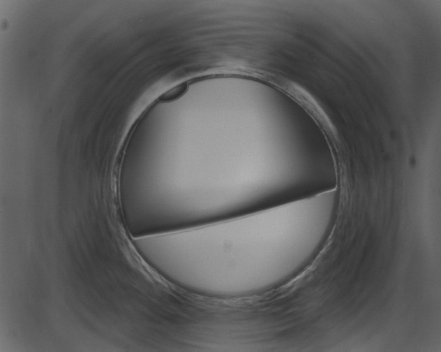X0000086221292200703290954