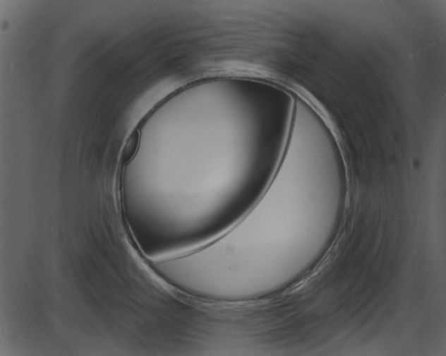X0000086221293200703290954