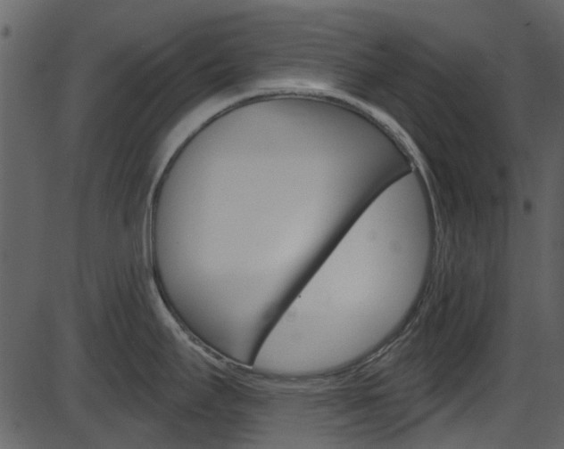 X0000086221295200703290954