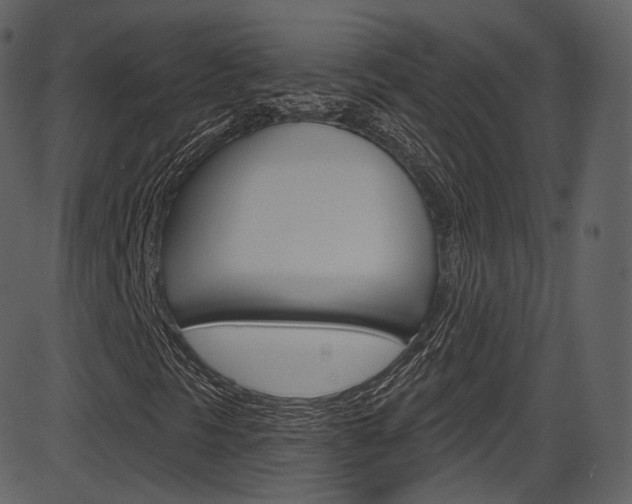 X0000086221297200703290953