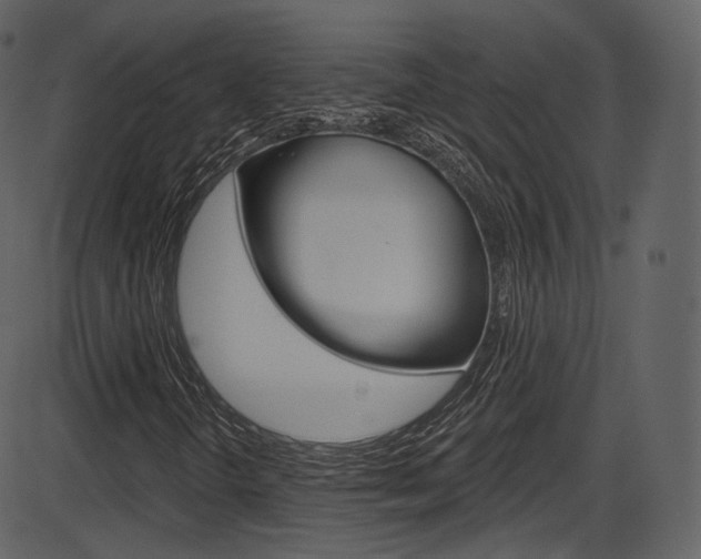 X0000086221298200703290953