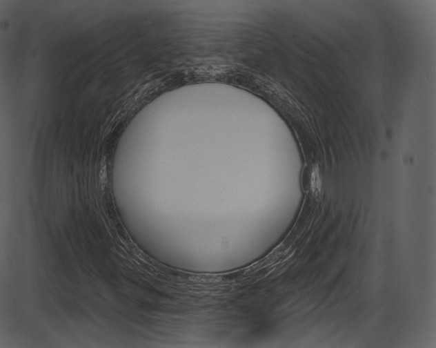 X0000086221299200703290953