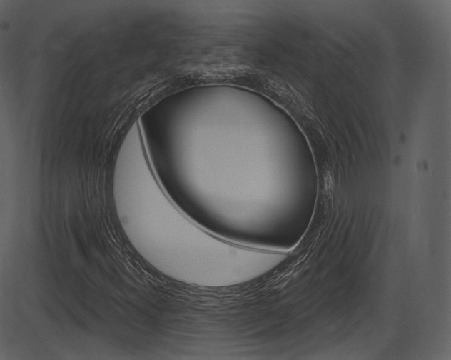 X0000086221300200703290953