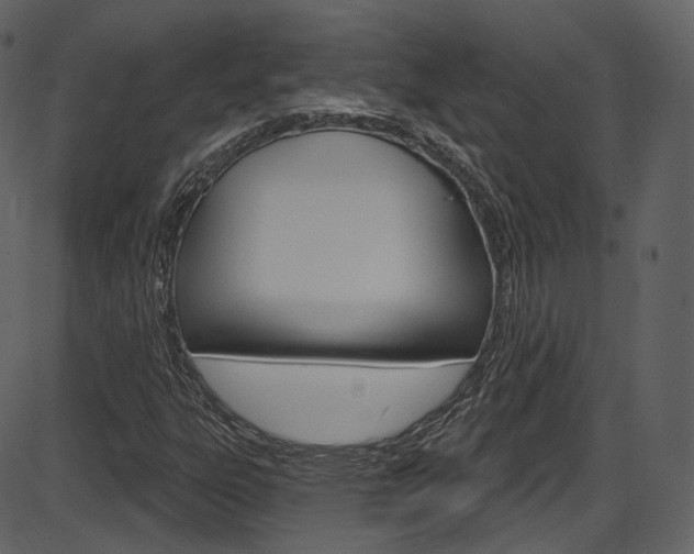 X0000086221303200703290953