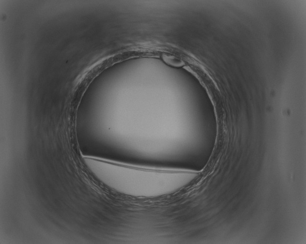 X0000086221304200703290953